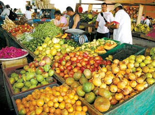 Alimentos seguir&aacute;n caros hasta mayo